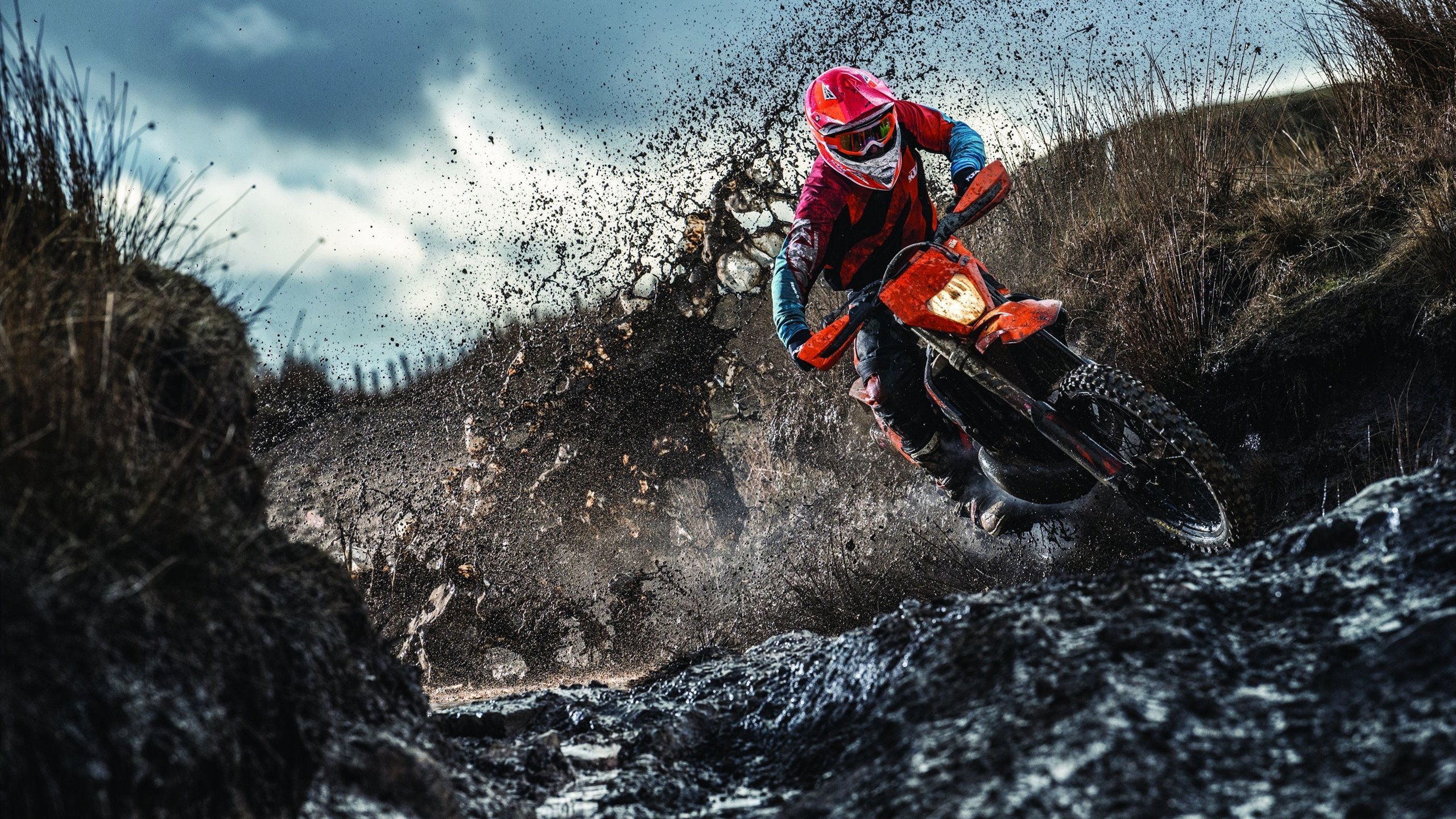 爱游戏体育-赛道上的新星，皮亚斯特里高光表现，红牛二队鏖战哈斯车队